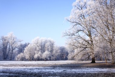 Winter park manzarası ve güneş!