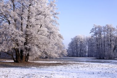 Winter park manzarası ve güneş!