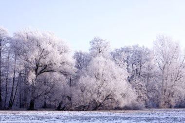 Winter park manzarası ve güneş!