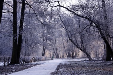 Winter park manzarası ve güneş!