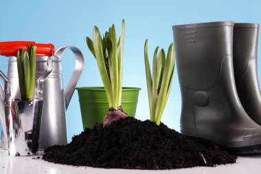 ecoligal Bahçe!