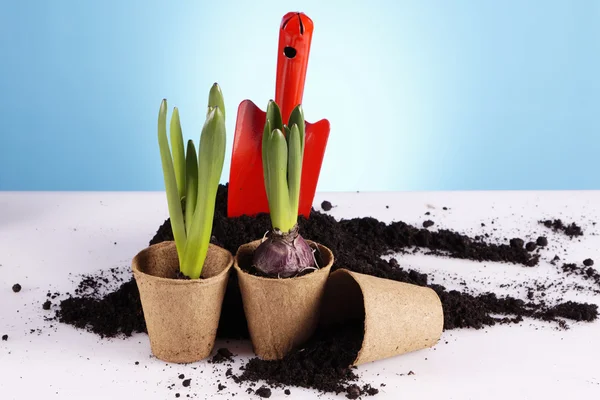 Gardening concept — Stock Photo, Image