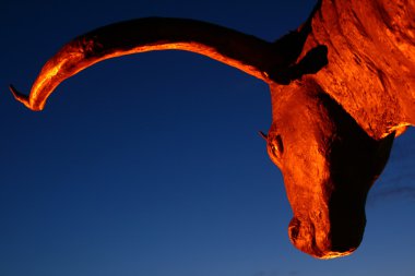 Powerful bull against night sky clipart