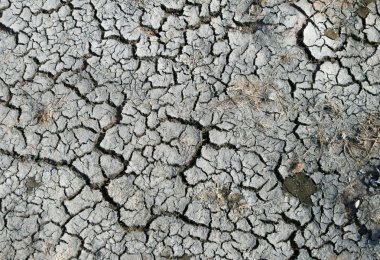 Damaged and very dry land