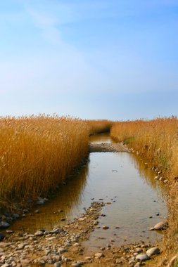 Flooded road to island of Vilsandi, Estonia clipart