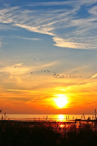 Coucher de soleil magnifique avec des oiseaux volants — Photo