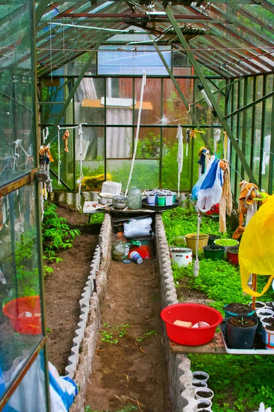 stock image Glassy greenhouse in the garden