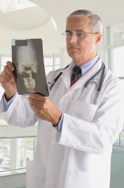 中间岁的医生在实验室外套与 在现代的医疗设施中垂直组成 — 图库照片