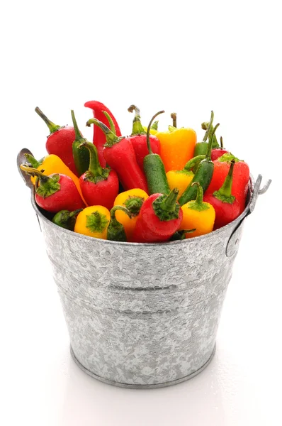 Assorted peppers in pail — Stock Photo, Image