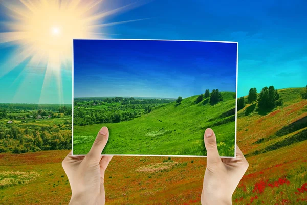 Photo of green field — Stock Photo, Image