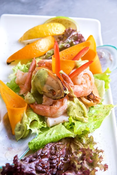 Zeevruchten salade schotel — Stockfoto