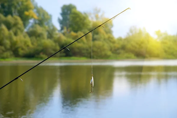 stock image Fishing