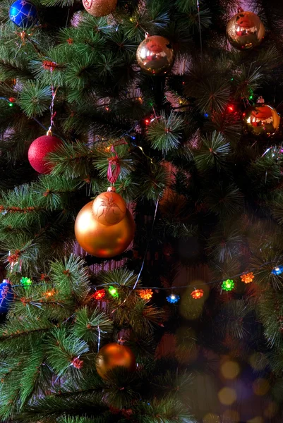 Рождественская ёлка — стоковое фото