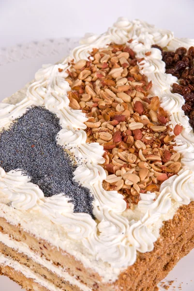 Cake Closeup Berry Isolated White — Stock Photo, Image