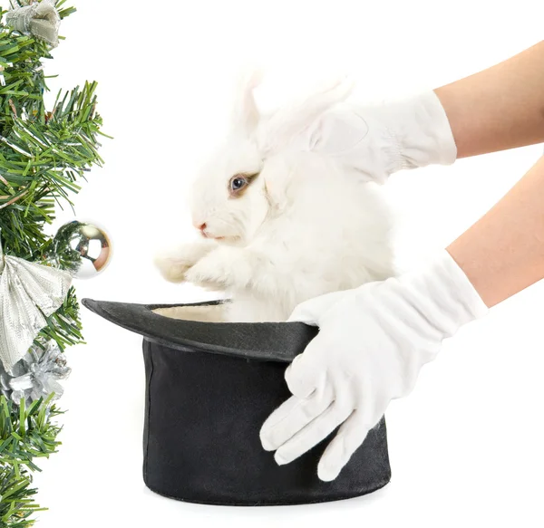 Little Rabbit Magic Hat Isolated White Background — Stock Photo, Image