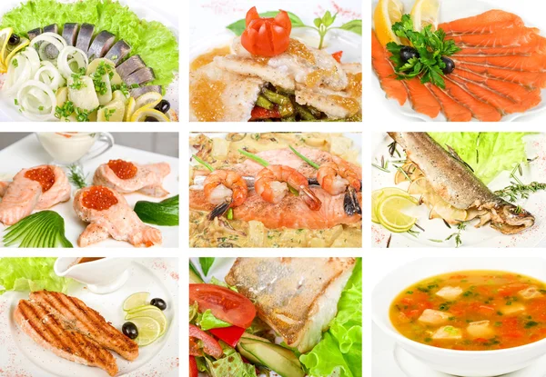 Набор Различных Вкусных Блюд Рыбы — стоковое фото