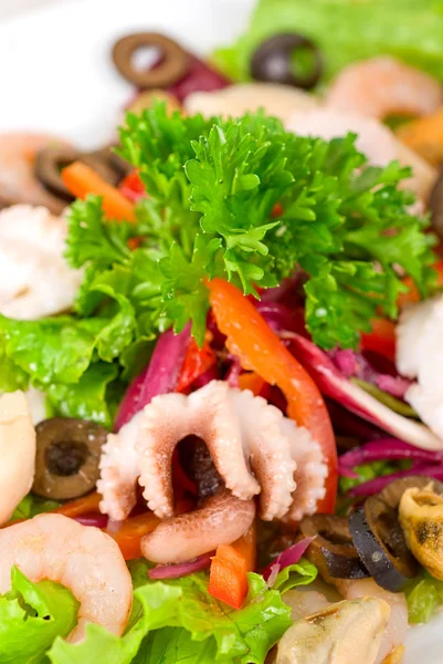 Předkrm Closeup Různých Mořských Plodů Zeleniny — Stock fotografie