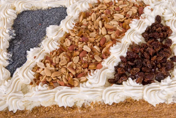 Tårta Närbild Med Bär Isolerad Vit — Stockfoto