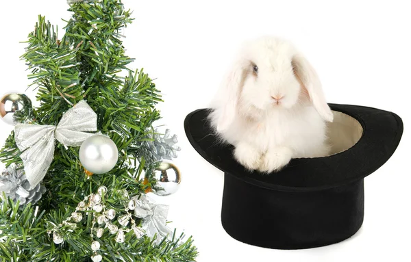 White Rabbit Black Hat Symbol 2011 New Year Isolated White — Stock Photo, Image