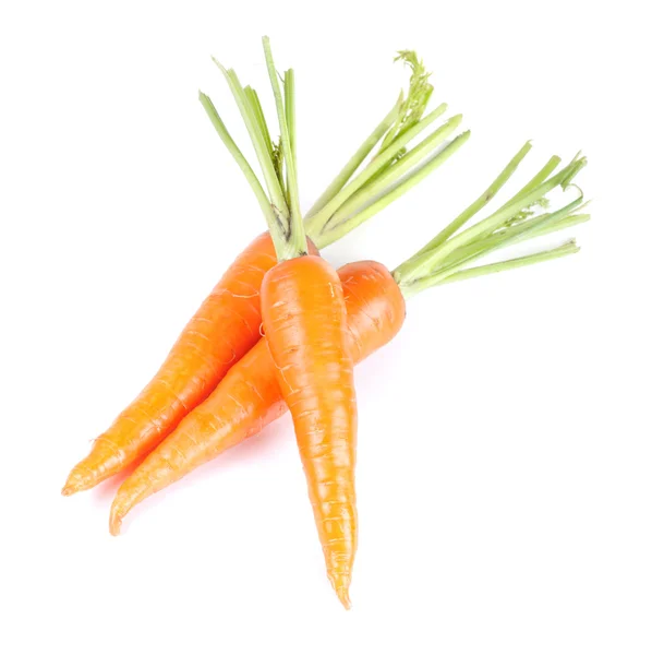 Ripe Carrots Isolated White Background — Stock Photo, Image