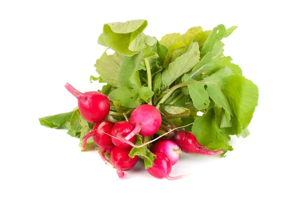 stock image Fresh radishes isolated on white background