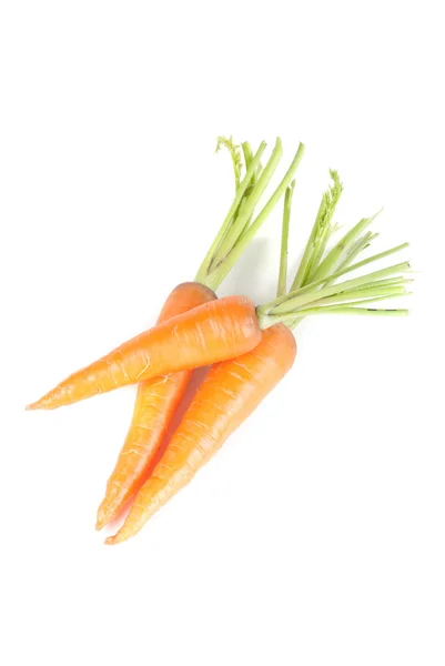 Ripe carrots — Stock Photo, Image