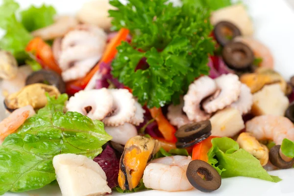Deniz ürünleri salatası — Stok fotoğraf