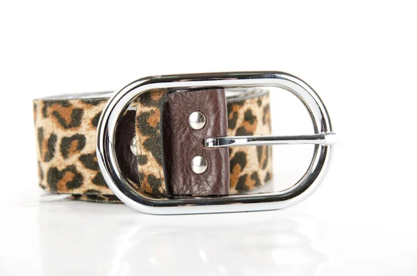 Leopard belt — Stock Photo, Image