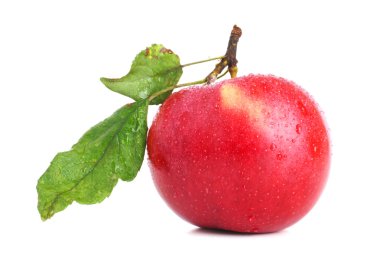 Red apple with leaves on white clipart