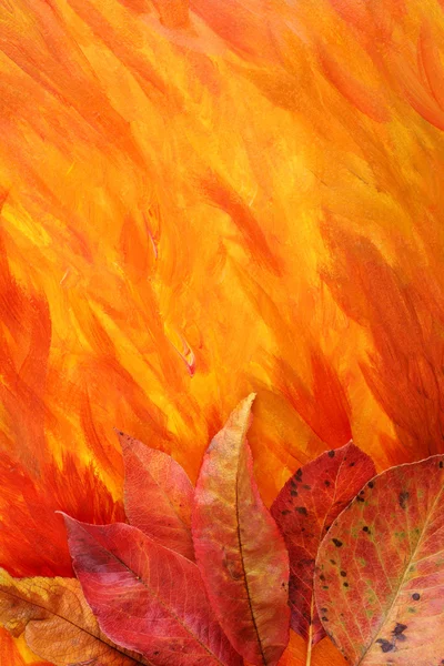Fond d'automne coloré — Photo
