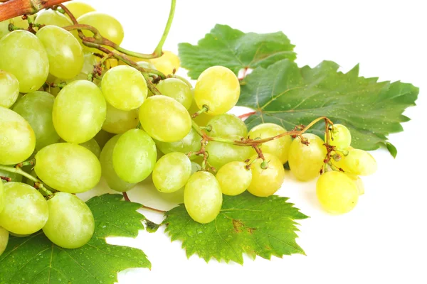 White grapes with leaves on white — Stock Photo, Image