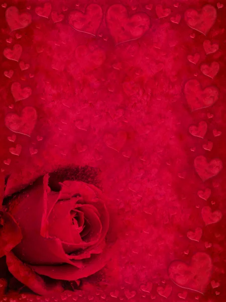 Κόκκινο Ευχετήρια Κάρτα Τριαντάφυλλο Μπουμπούκι Και Καρδιές — Φωτογραφία Αρχείου