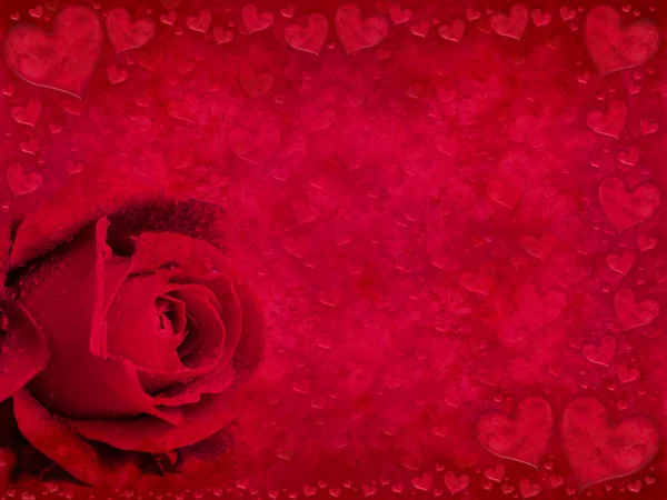 Rose rouge et coeurs — Photo