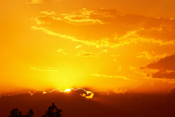 Céu dourado do por do sol — Fotografia de Stock