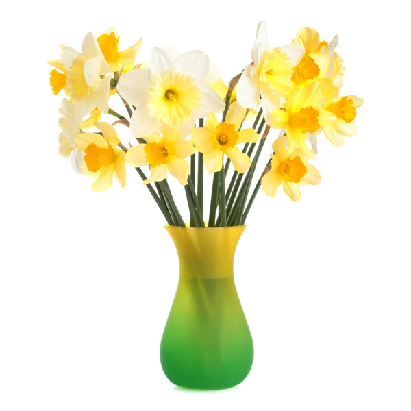 Daffodils em vaso — Fotografia de Stock