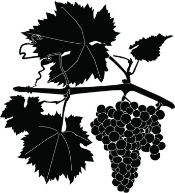 Bunch of grapes clipart