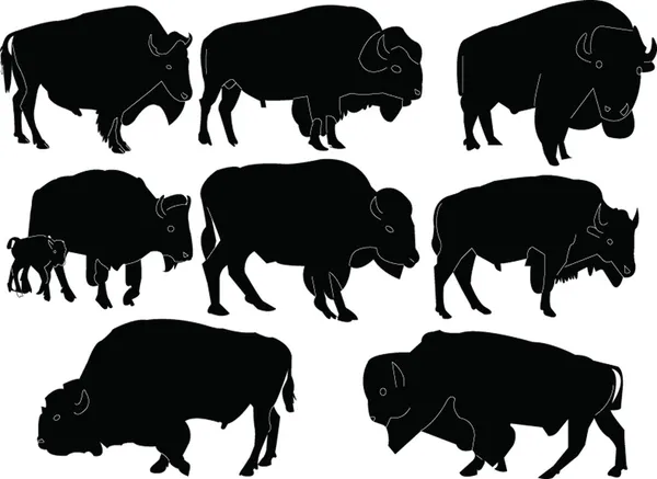 Bisons collection — Stock Vector