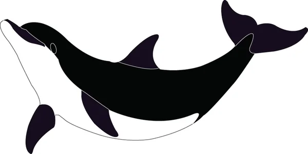 Dolfijn — Stockvector