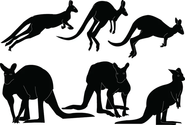 Collection silhouette kangourou — Image vectorielle