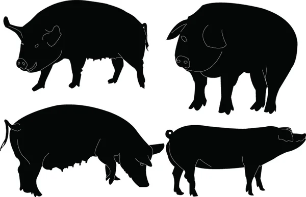Recogida de cerdos — Archivo Imágenes Vectoriales