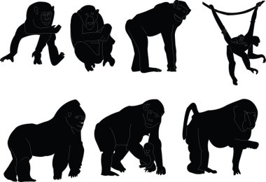 Monkey silhouette collection clipart