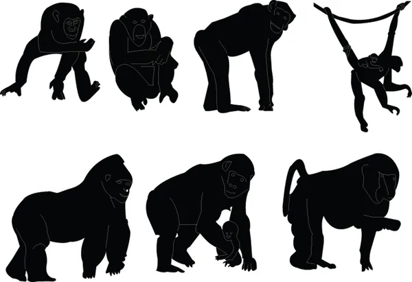 猴子剪影集合 — 图库矢量图片
