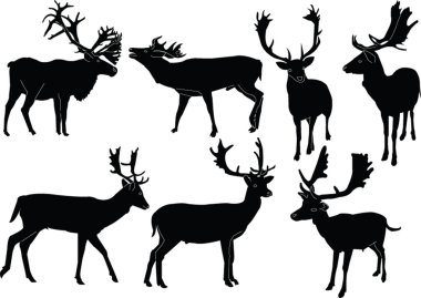 Fallow deer collection clipart