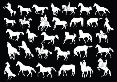 Horses collection clipart
