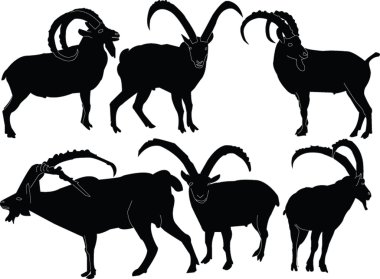 Ibex collection clipart