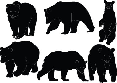 Bears collection silhouette clipart