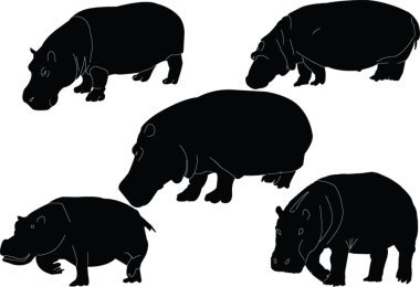 Hippopotamus collection clipart