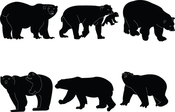 Коллекция белых медведей — стоковый вектор