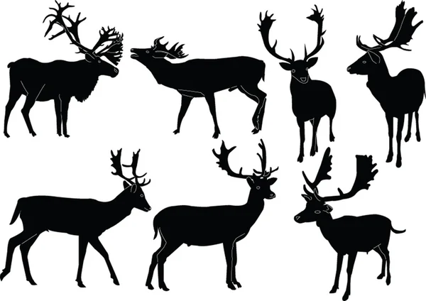 Fallow deer collection — Stock Vector