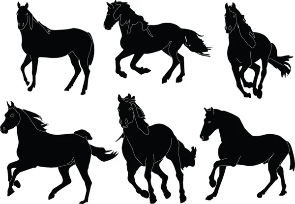 Hästar samling — Stock vektor